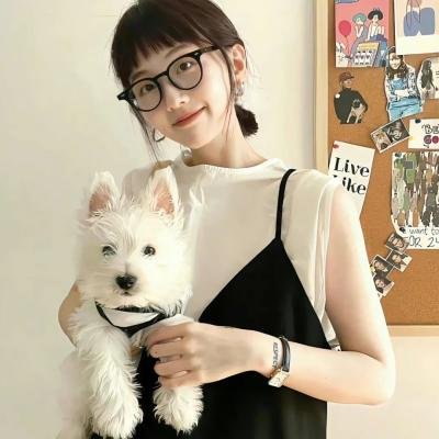火鸟的沼泽