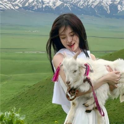 小夜莺
