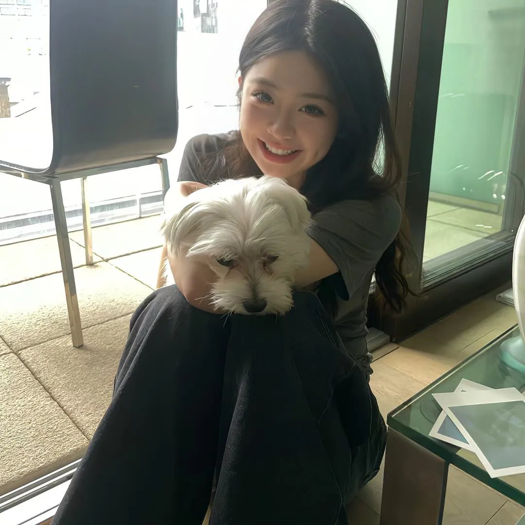 我家的英雄剧版